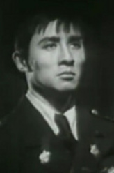 陈少平