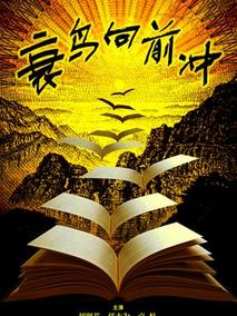衰鸟向前冲剧情介绍