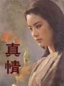 真情剧情介绍