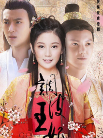 调皮王妃剧情介绍