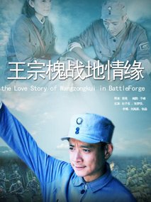 王宗槐战地情缘剧情介绍