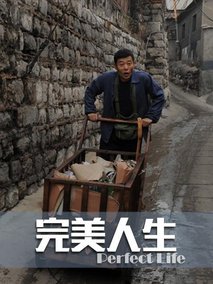 完美人生剧情介绍