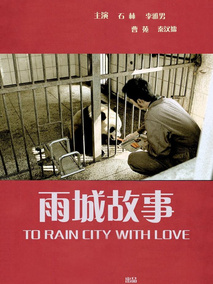 雨城故事剧情介绍