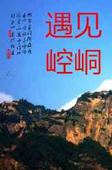 发哥