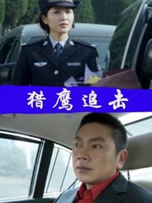 猎鹰追击剧情介绍