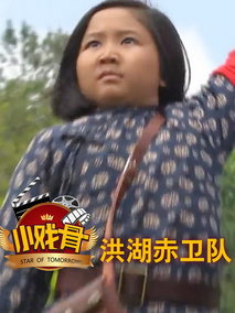 小戏骨：洪湖赤卫队剧情介绍