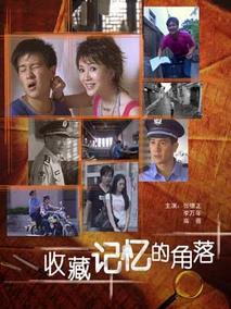 收藏记忆的角落剧情介绍
