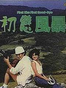 初恋风暴剧情介绍