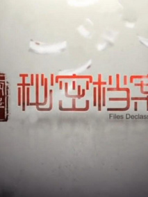 秘密档案剧情介绍