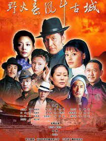 野火春风斗古城剧情介绍