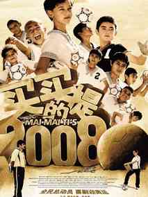 买买提的2008剧情介绍
