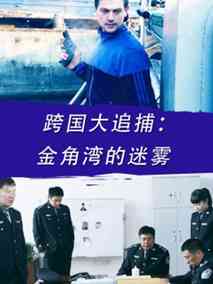 跨国大追捕：金角湾的迷雾剧情介绍